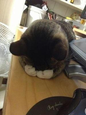 오잉 이미지