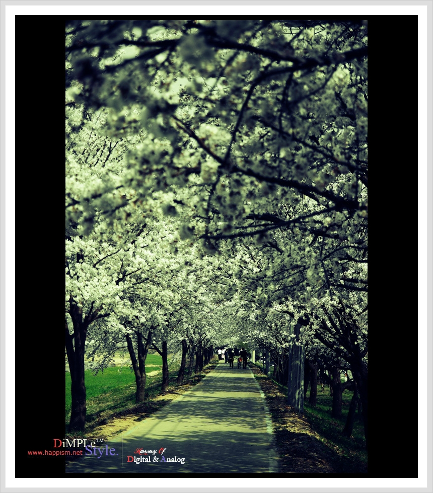 산수산 이미지