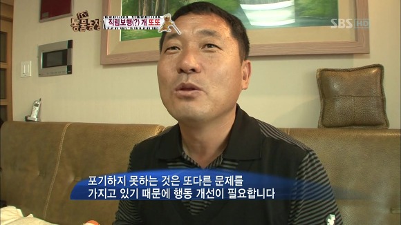 [동물농장] 지팡이 짚고 걷는 심봉사 개 또또라오 | 인스티즈