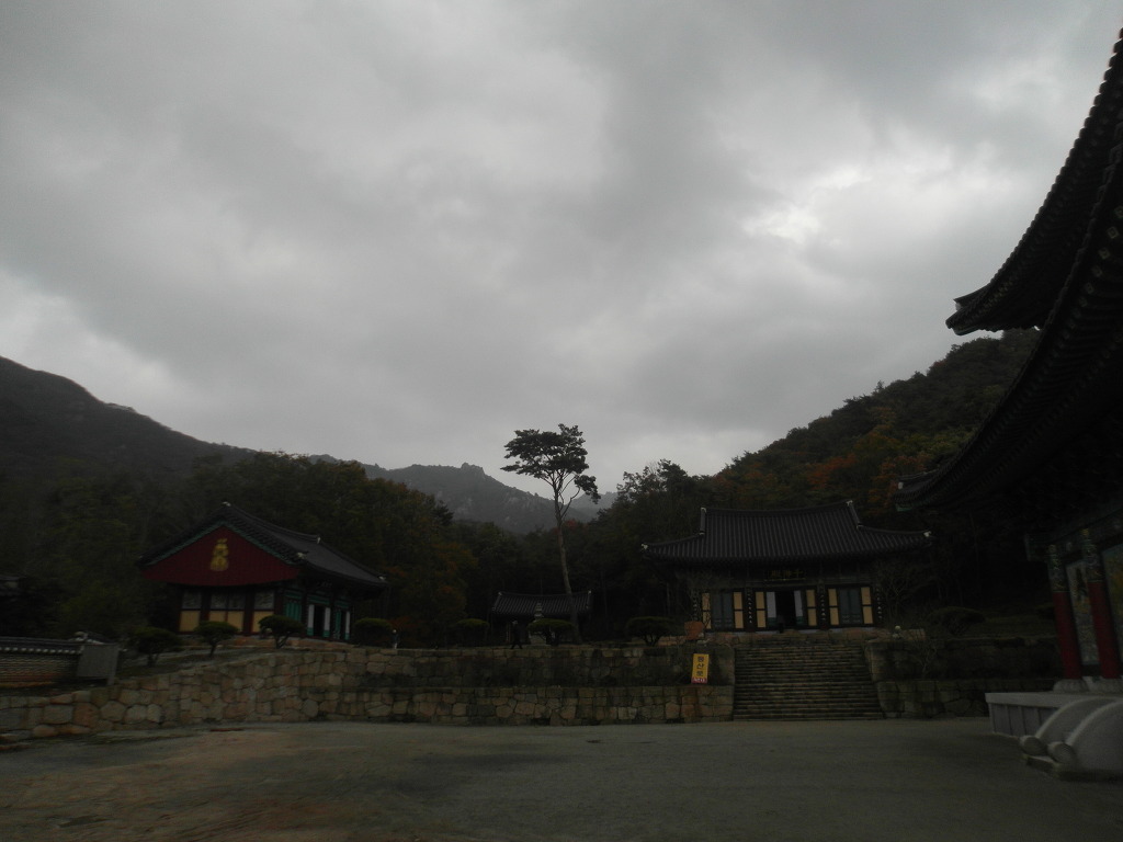 영암문화원 이미지