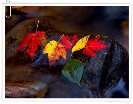 021AB43B5093FEA82EE4C1