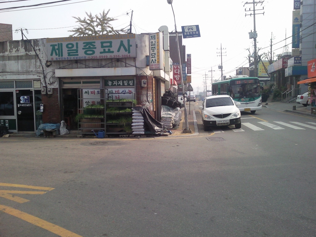 제일종묘사 이미지
