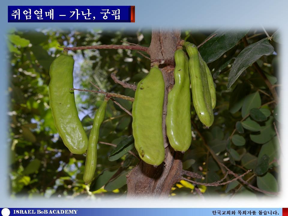심볼리즘 이미지