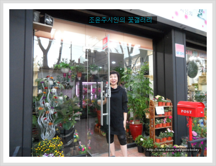 조윤주시인의꽃갤러리 이미지