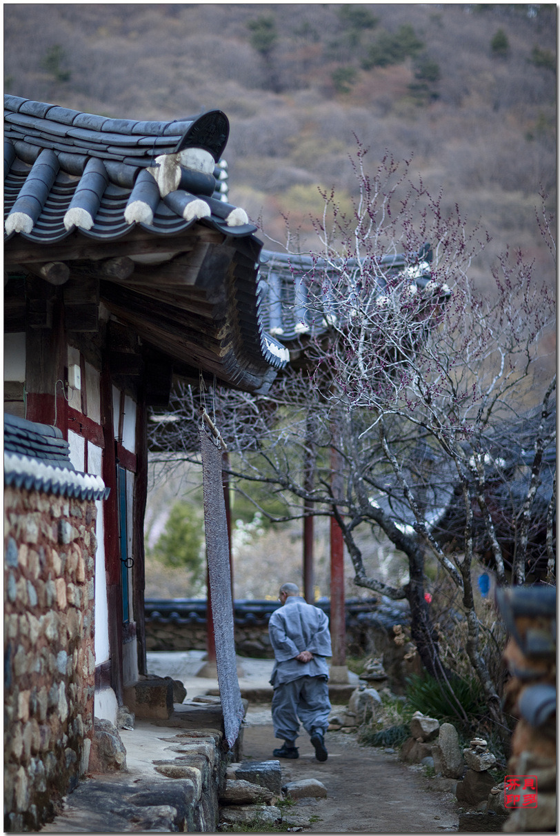 선암사 이미지