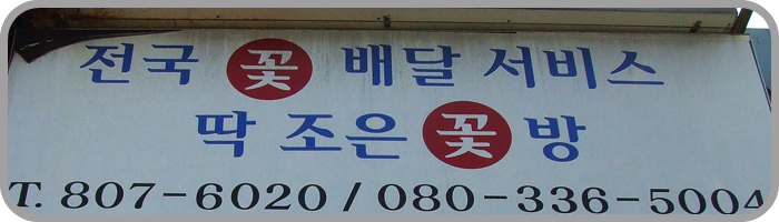 조은꽃방 이미지