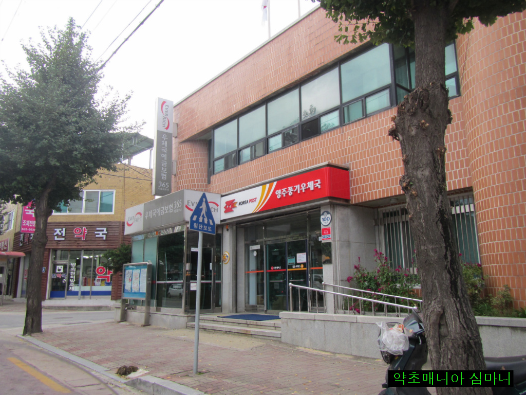 은행식당 이미지