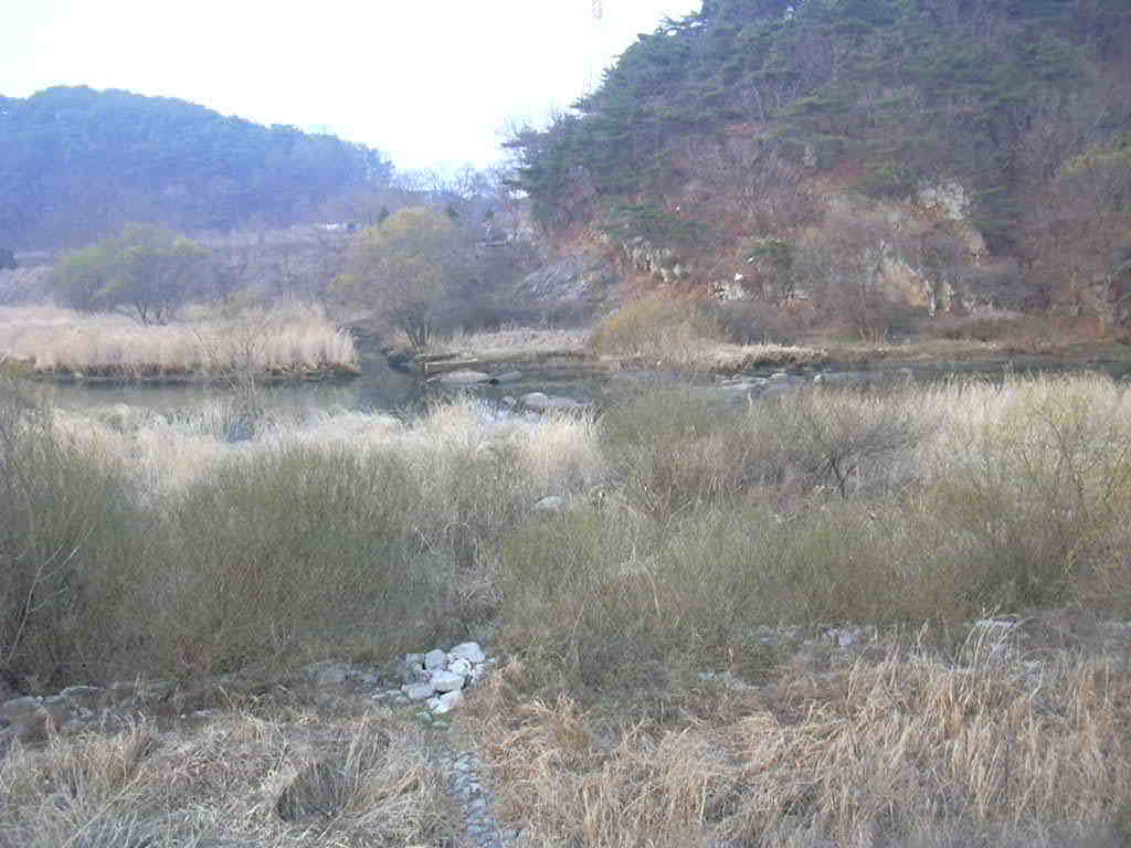 우리낚시터 이미지