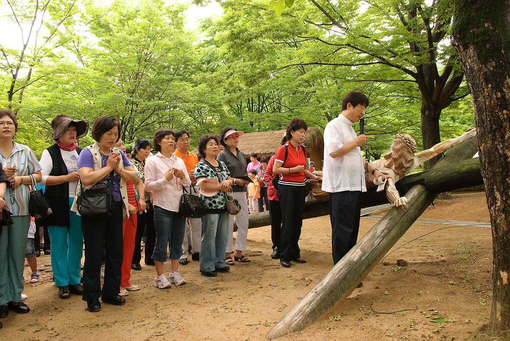 신부화원 이미지