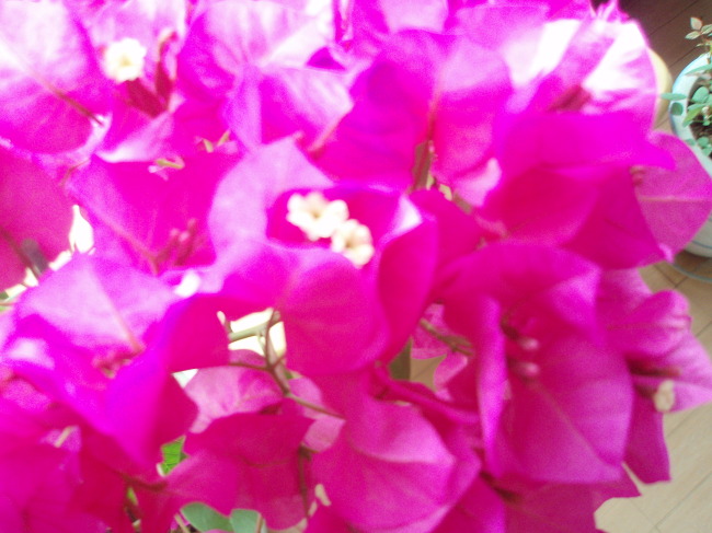116B11214AF130DE3F0044