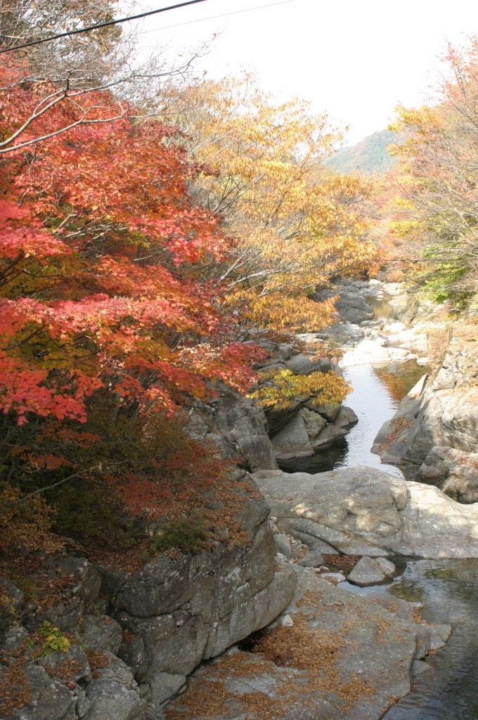 팔마 주유소 이미지