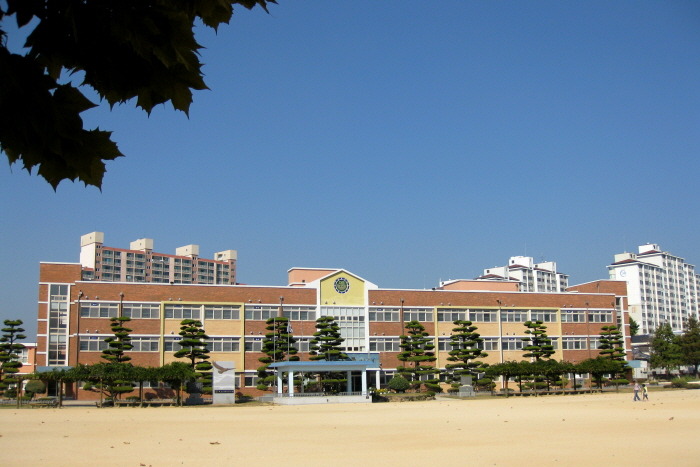 장흥초등학교 이미지