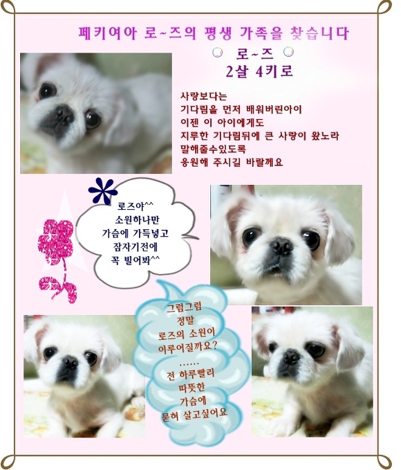 수리수리 마수리 이미지