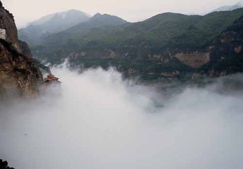 호산삼 이미지