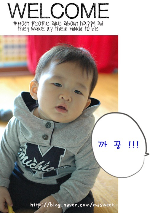 아이쪼아 이미지