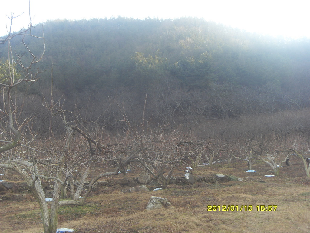 (주)백장생 이미지