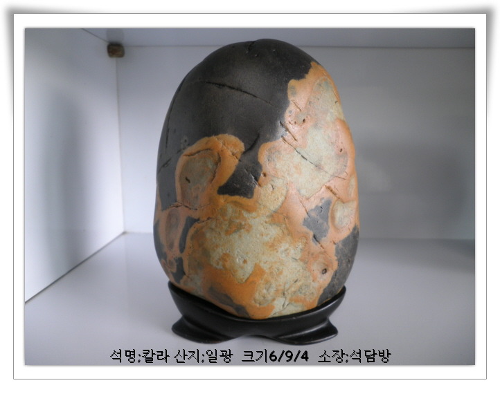 일광칼라 이미지