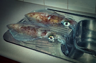 125F355A4DE20635320DD5