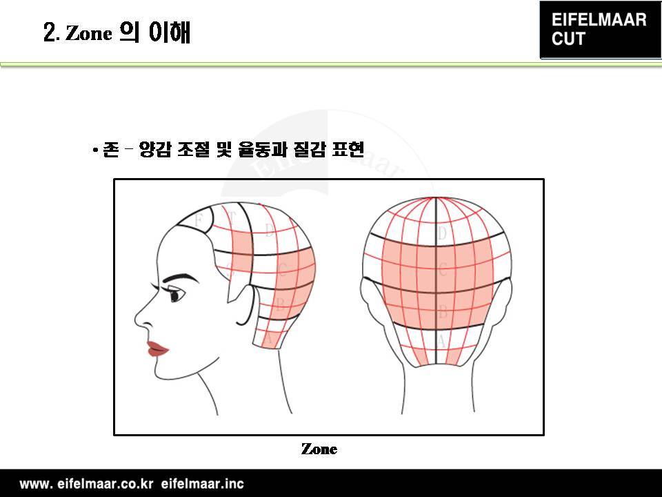 레이어21 이미지