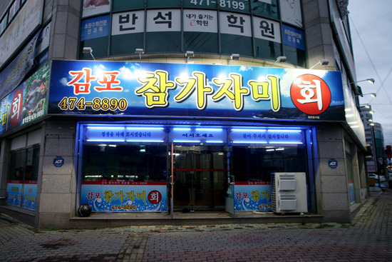 감포참가자미회 이미지