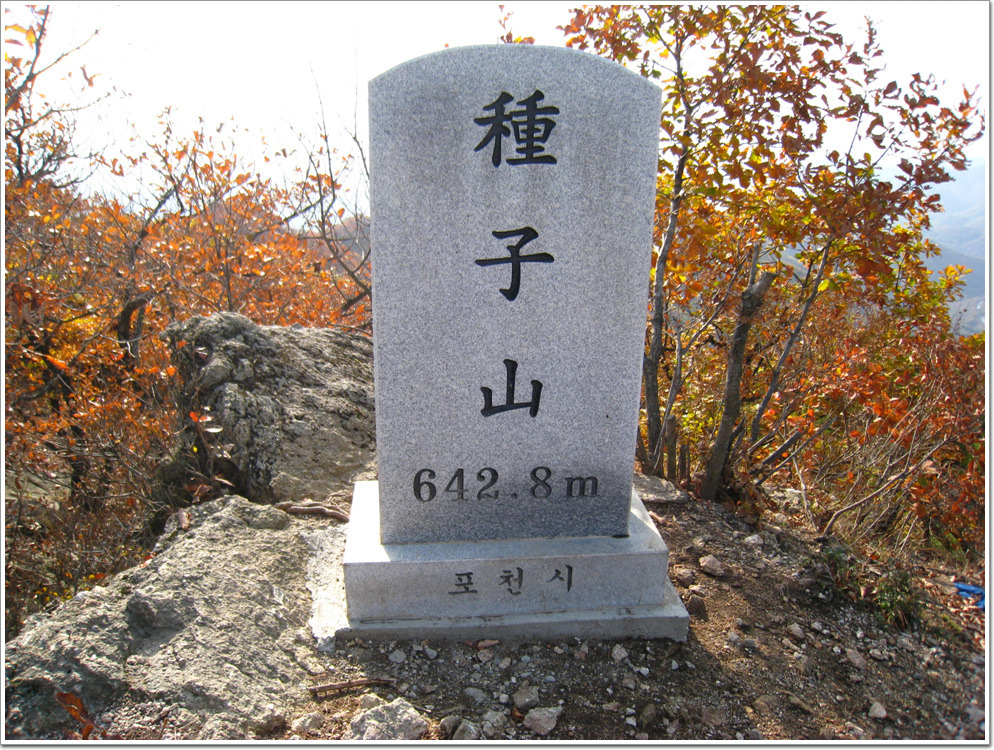 종자산 정상 이미지
