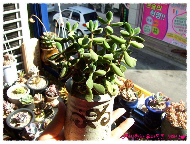 (주)배성 이미지