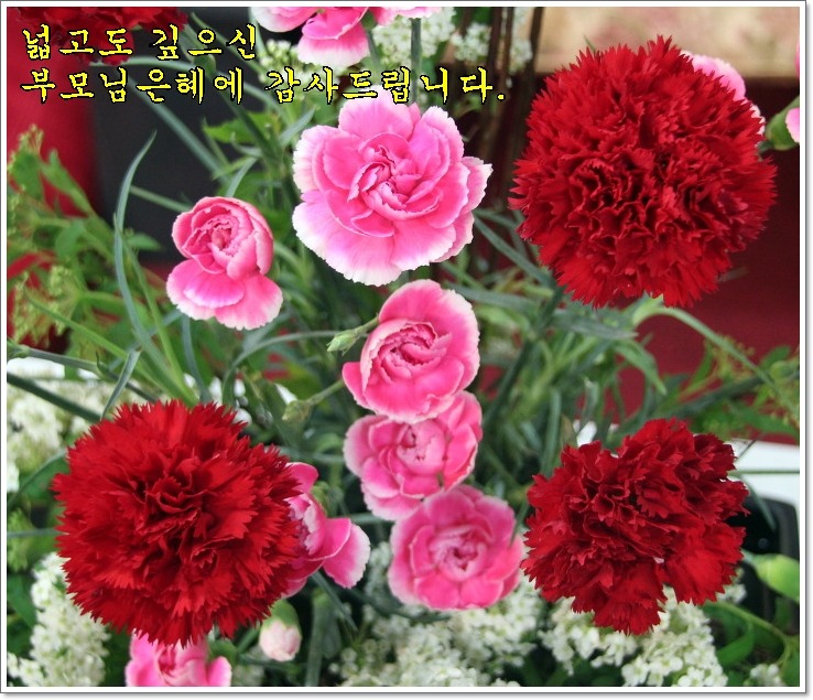 은혜 이미지