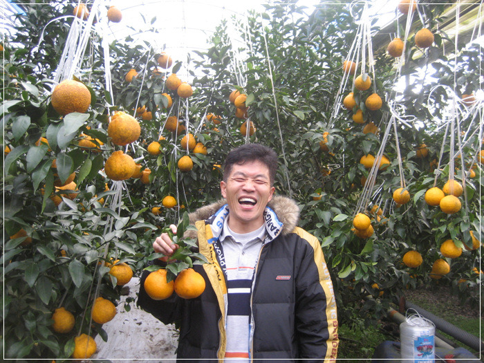 모든오일주 이미지
