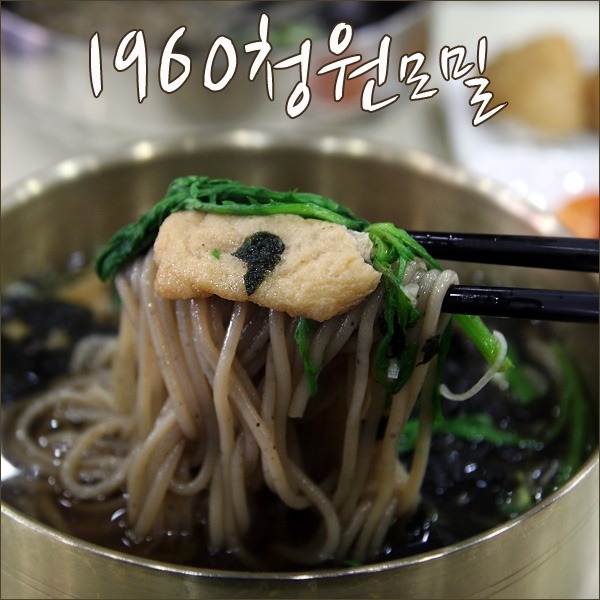 1960청원 이미지
