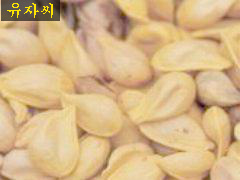 경희광택 이미지