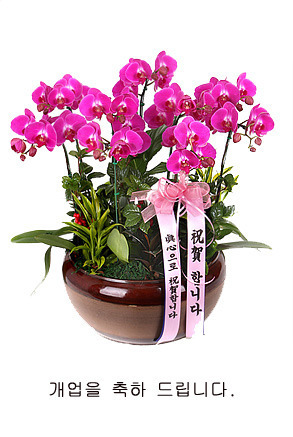 주문진주유소 이미지