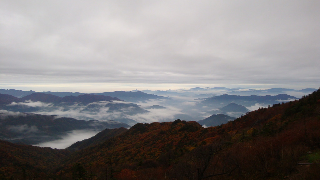 지리산밧데리 이미지