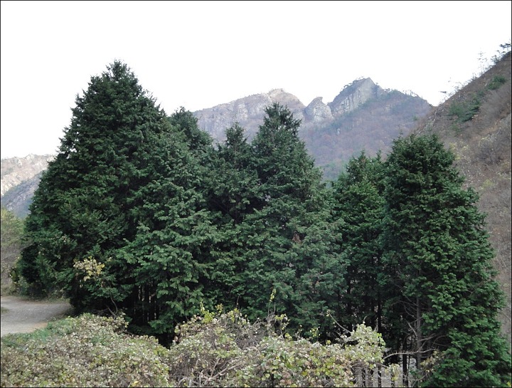 고향산천 이미지
