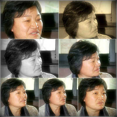 다헌 이미지