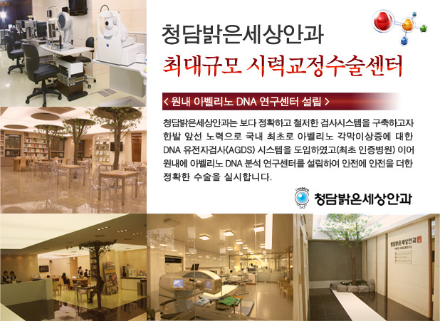 지2 이미지