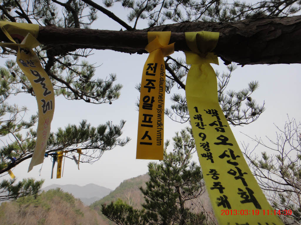 매화강산 이미지