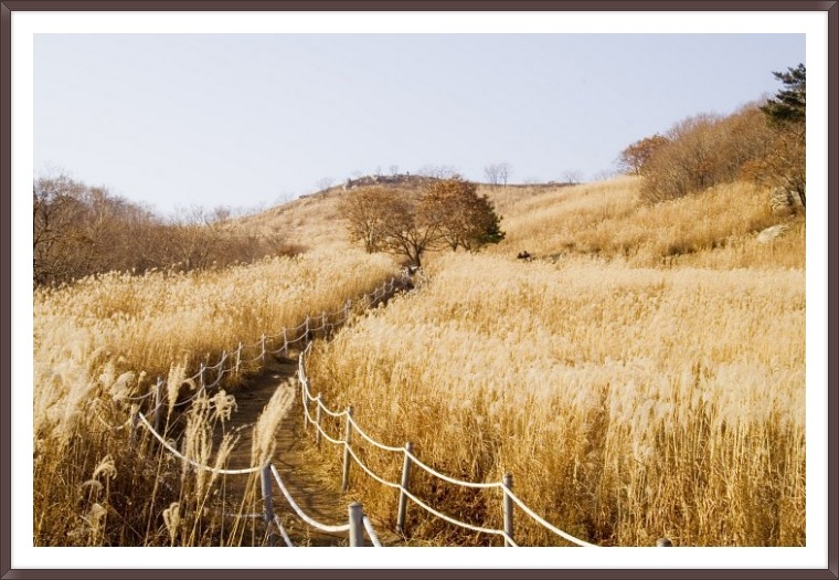 (주)목동여행사 이미지