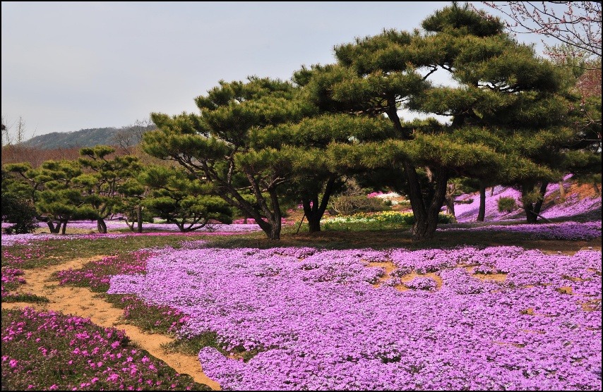 잔디공원 이미지