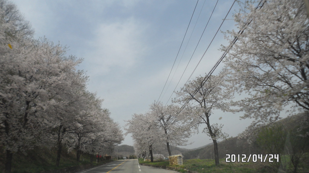 병천순대국 이미지