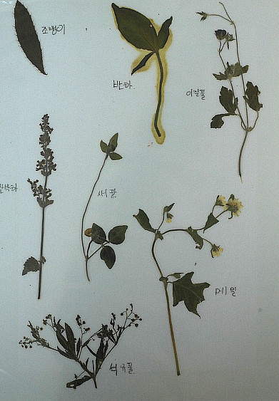 영광백수중학교 이미지
