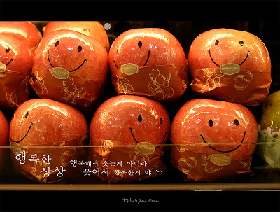 행복한상상 이미지