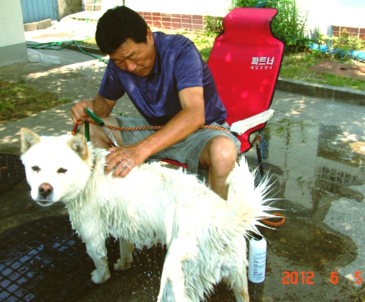 몽실이 이미지