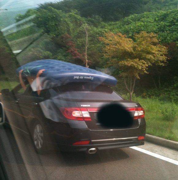 로빈 이미지