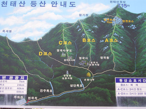 태 이미지