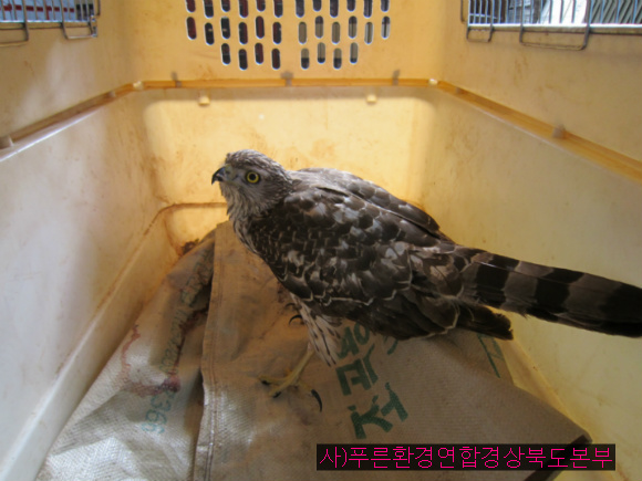 경수환경(주) 이미지