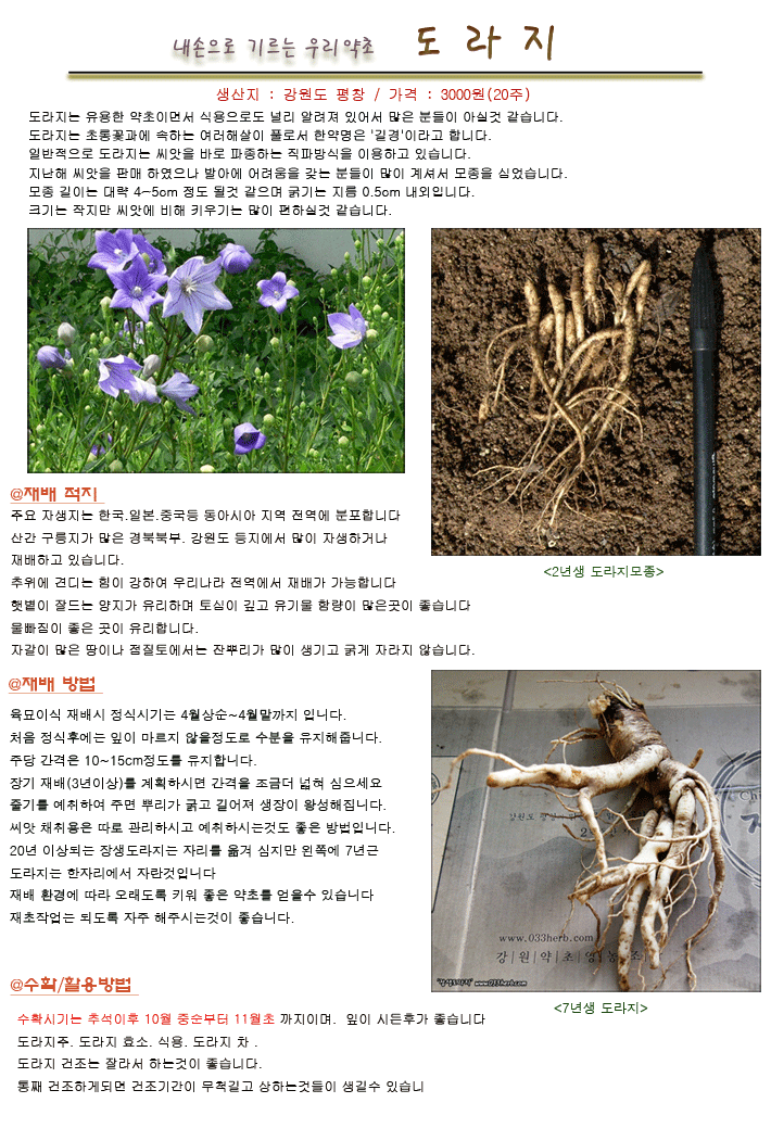 우리약초 이미지