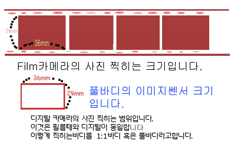 풀바디 이미지