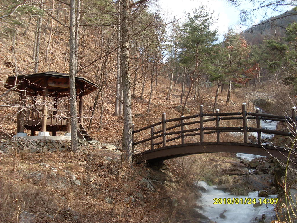 속리산말티재자연휴양림 이미지