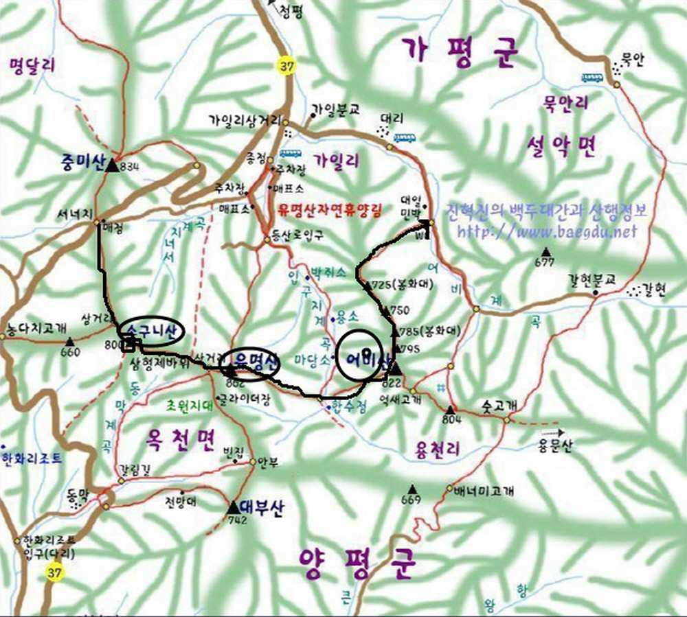 대일민박 이미지