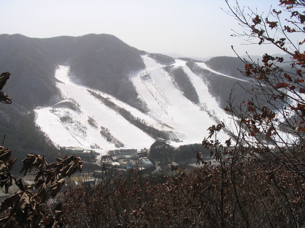 지산주 이미지